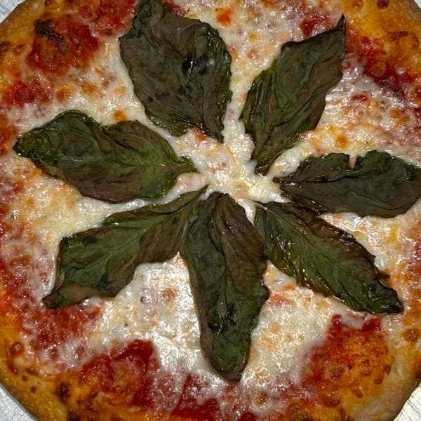 Bobo's Pizza with melted cheese, red sauce, and basil leaves arranged like a flower.